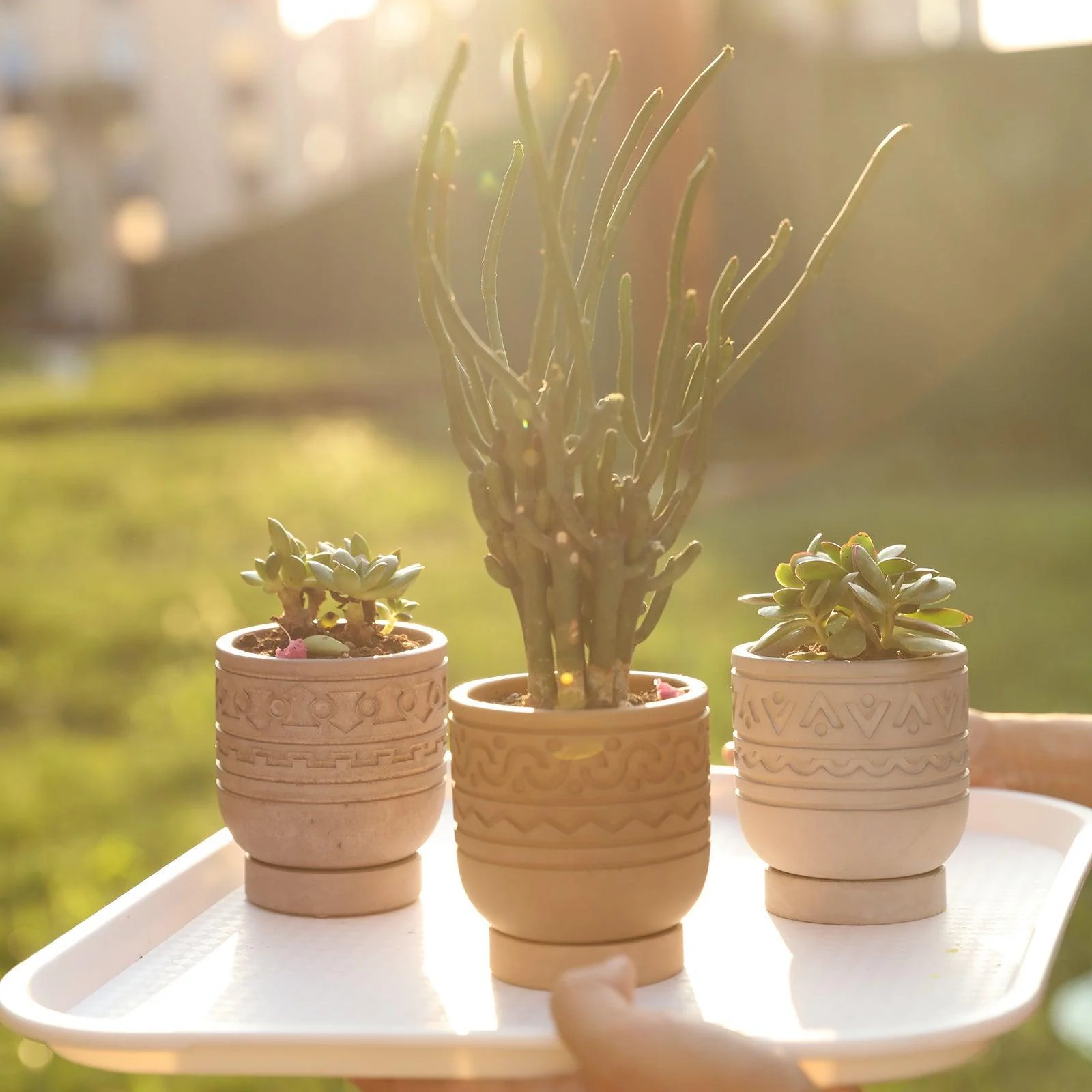 Concrete Pattern Plant Pot and Tray Silicone Mold - Image 4