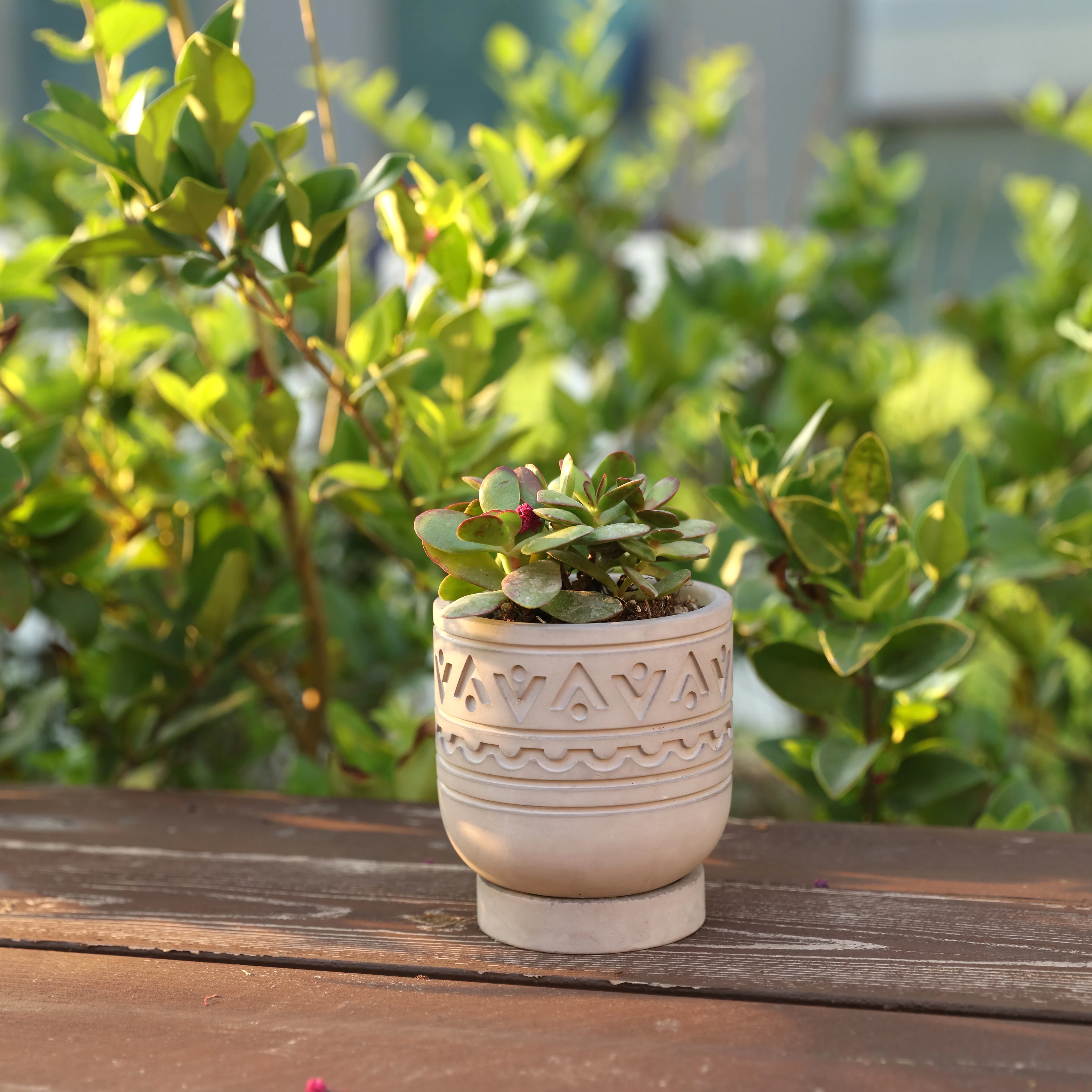 Concrete Pattern Plant Pot and Tray Silicone Mold - Image 5