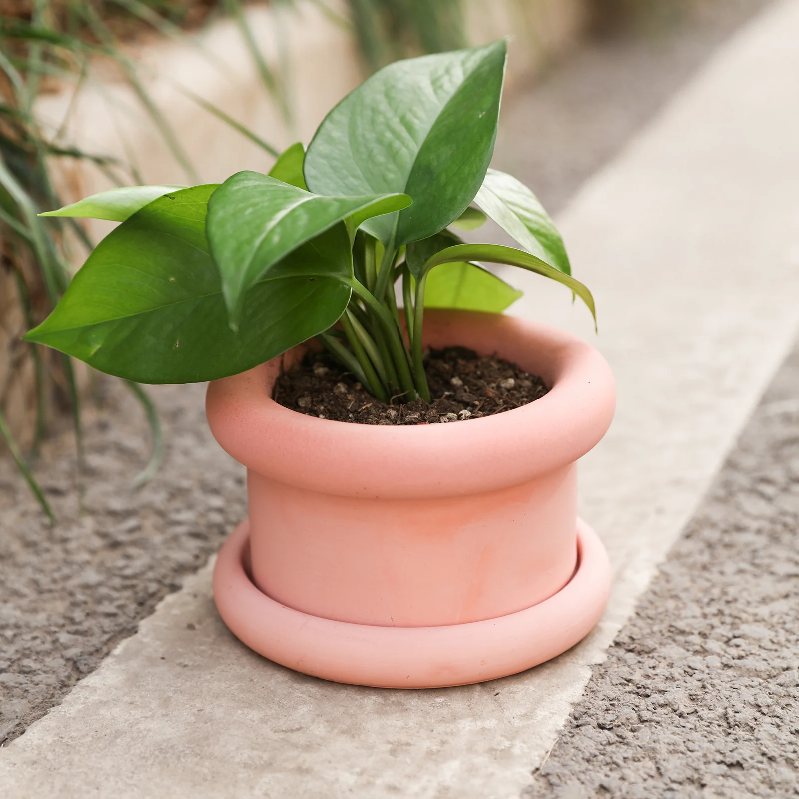 Short Botanic Column Plant Pot Silicone Mold - Image 7