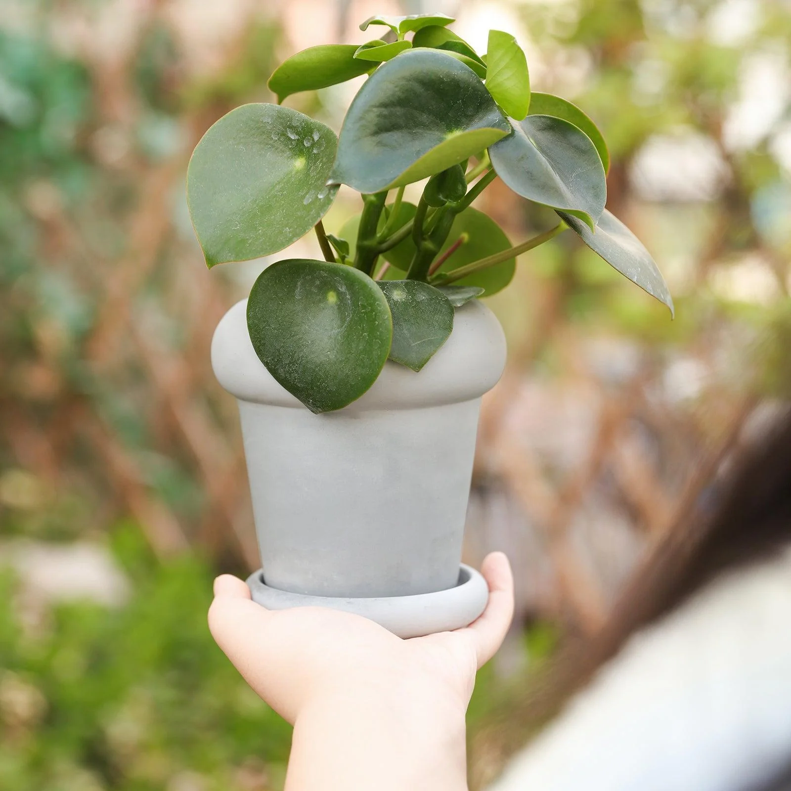 Tall Botanic Column Plant Pot Silicone Mold - Image 6